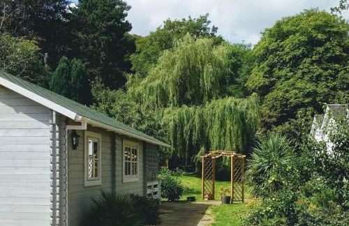 Cosy Log Cabin in Llanfoist village - Foto 10