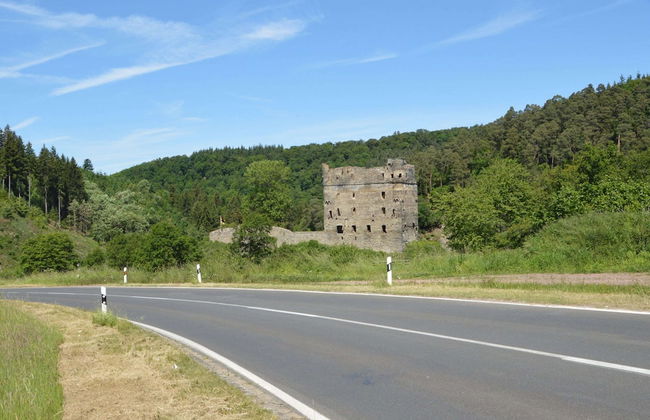 Ferienhaus Paula in Haserich im Hunsrueck - Foto 36