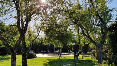 Commenda Cavalieri Ordine di Malta - Photo 5