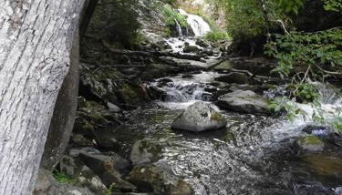 Yogi House Meditation Retreat - Foto 3