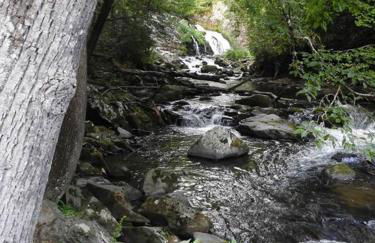 Yogi House Meditation Retreat - Foto 3