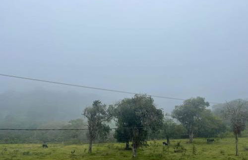 Flat Serra Negra, Bezerros - Foto 36