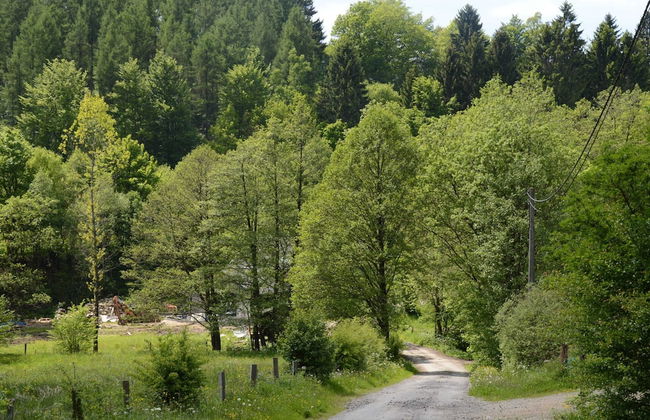 Elegant Villa in Stavelot With Fitness and Playroom and an Incredible Garden - Photo 39