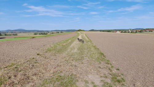 Ferienwohnung Rhönblick - Foto 4