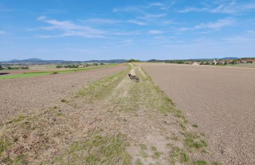 Ferienwohnung Rhönblick - Foto 4