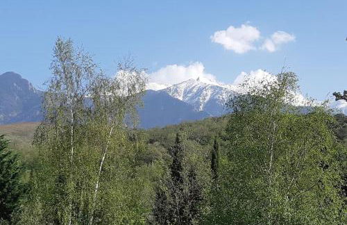 GITE DE NOGAROLS - Foto 21