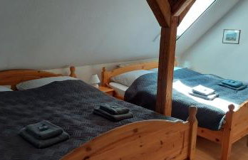 Boddenhus auf Rügen - Ferienwohnungen und Pension - Foto 62