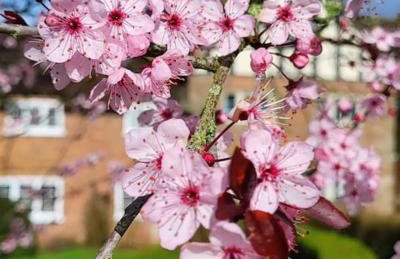 The Lodge at Fairfield Court - Foto 31