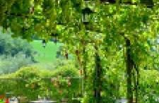 Agriturismo Il Colle Del Contadino - Foto 30