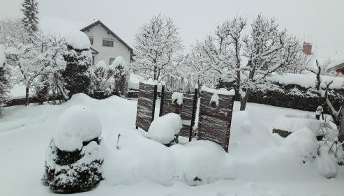 Ferienwohnung Schwarzwaldglück - Foto 3