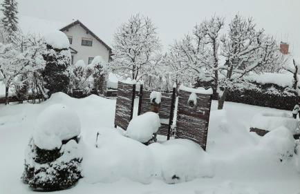 Ferienwohnung Schwarzwaldglück - Foto 3