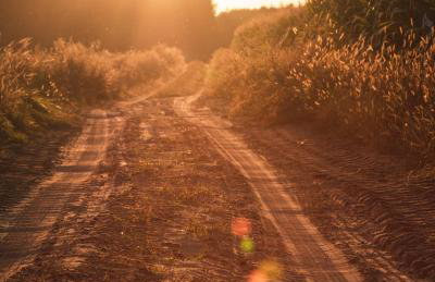 Chatka w lesie - Foto 52