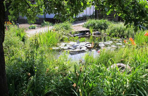 An der Hainmühle - Foto 32