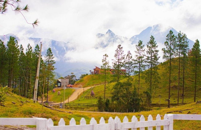 Chalé Sítio Corvo Branco - Photo 13