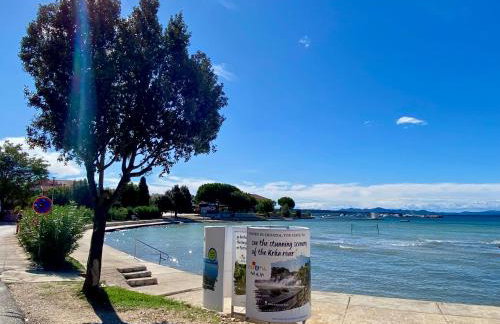 Apartments Brezović Škrapavac - 40m from the beach - Photo 28