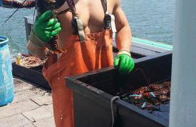 Footbridge Escape - Foto 18