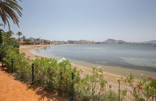 Vivero El Suso - Foto 19