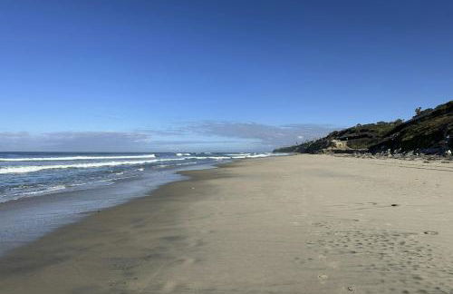 Walk to Torrey Pines Beach! Beachwalk Bungalow - Photo 27
