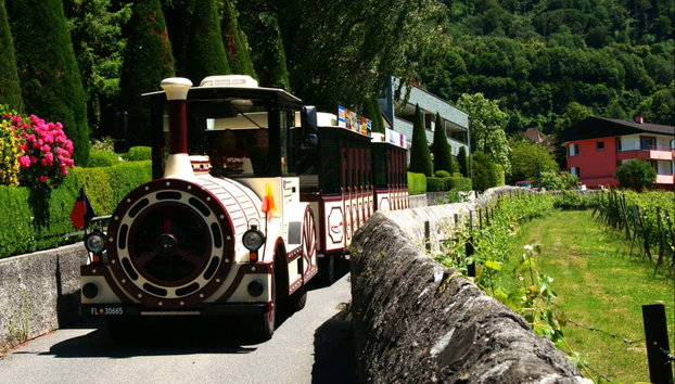 Tren turístico de Vaduz - Foto 2, El tren turístico recorriendo Vaduz