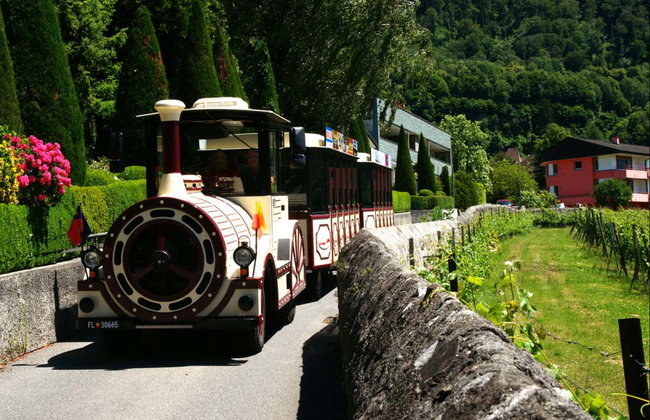 Tren turístico de Vaduz - Foto 2