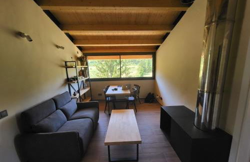 Ca n'Aliguer - Foto 4