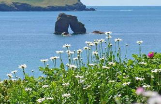 Sea Haven House Central Plymouth 4 Bed 3 and a Half Bath Secure Parking - Foto 41