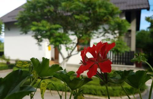 Apartment Lena - Foto 41