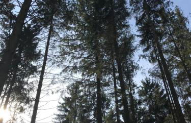 Wohnung mit Panoramablick - Foto 14