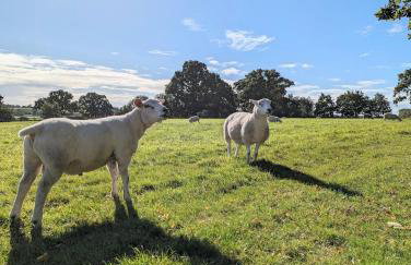 Humphries Cross Apartments - Foto 25