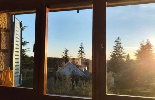 La Campanera - Foto 19