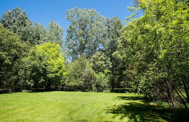 Avalon House - Foto 55