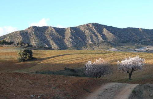 Cortijo La Estrella - Foto 28