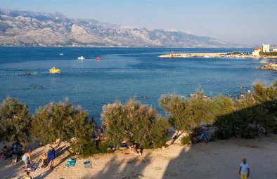 Apartman Jovici - Foto 12