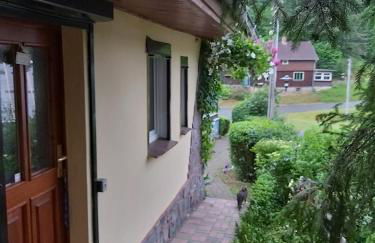 Bubi Niedlich - Foto 14