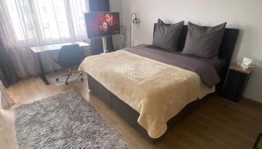 New komplett möblierte Wohnung-Zentral - Foto 3