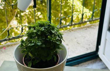 Varandas do Marquês - Foto 39