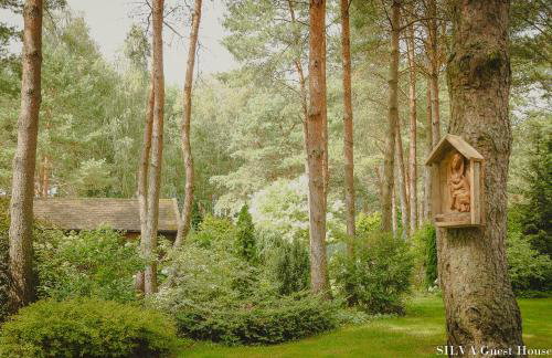 SILVA Guest House - dom wczasowy, tenis, basen, balia i sauna - Foto 44