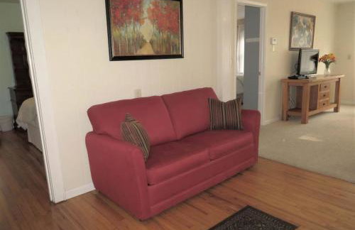 Lily Pad North at Loon Lake near Gore Mountain - Foto 13