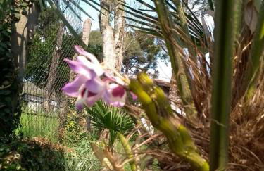 Casa e Flat Conforto Gramado - Photo 45