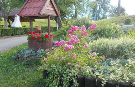 Apartments Pavlić - Foto 68