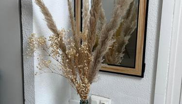 Studio Cosy Centre de Reims - Foto 2