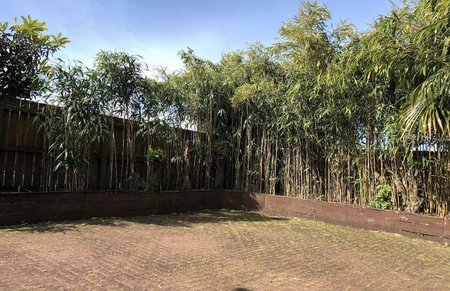 Auckland GQ Holiday Home - Photo 17