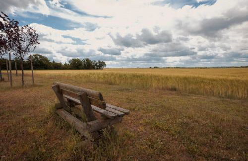 Am Wiesengrund - Photo 21
