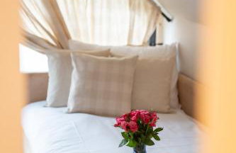 Modra Czapla - Foto 14