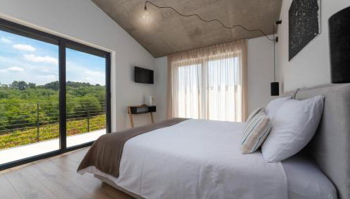 Beautiful villa Perlin with pool in Visnjan - Foto 5