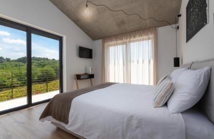 Beautiful villa Perlin with pool in Visnjan - Photo 5