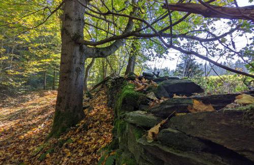 Ferienwohnung Mühl - Familienfreundlich, 2 Schlafzimmer, großes Grundstück, Erzgebirge - Foto 48