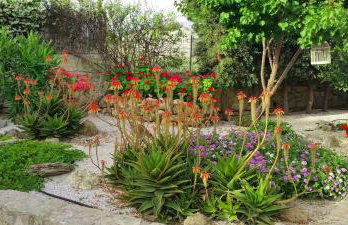 Bay Tree Villa - Main House Almyrida - Foto 36