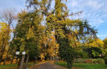 Dwór Podstolice - House of Rosenthal - Foto 18