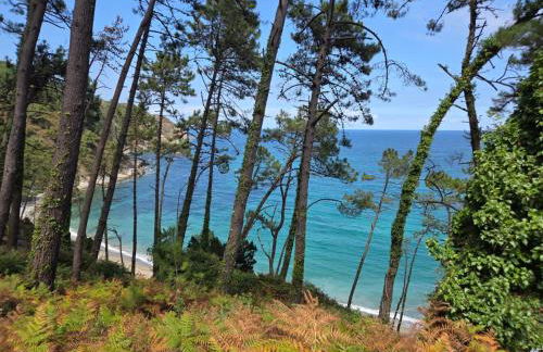 Villa con piscina VILLA ALICIA LA PERLA INDIANA - Foto 66